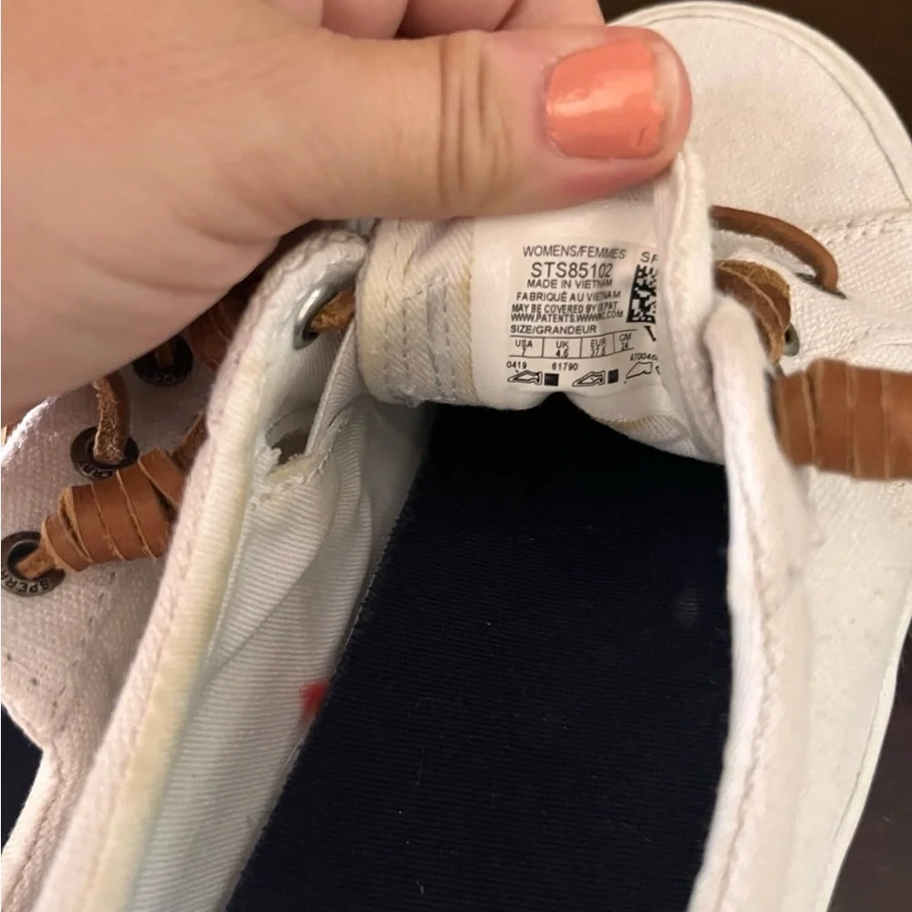 Sperry Canvas Shoes with Tan Laces - Picture 4 of 4